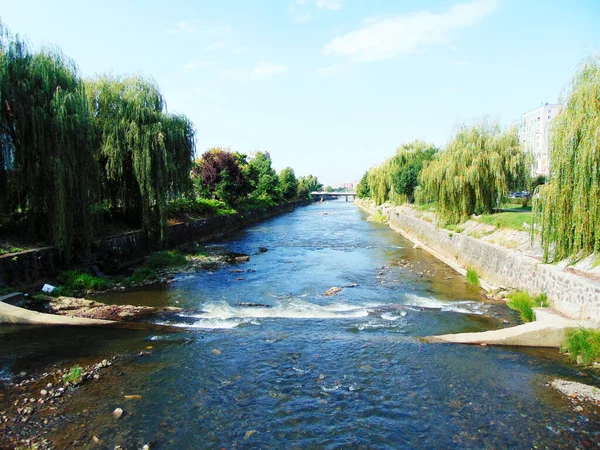 Sasar River Baia Mare City — Stock Photo, Image