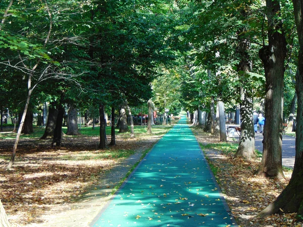 Running Track Park — Stock Photo, Image