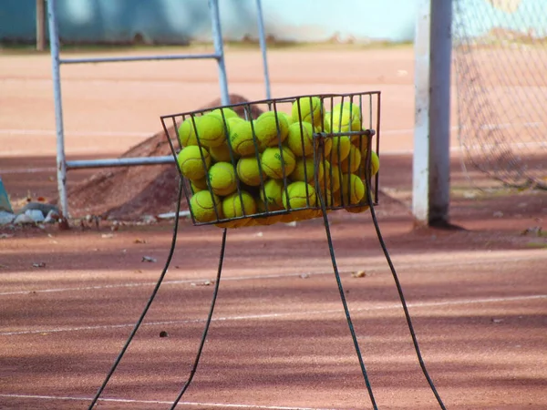 Tenis Topları Sepette — Stok fotoğraf