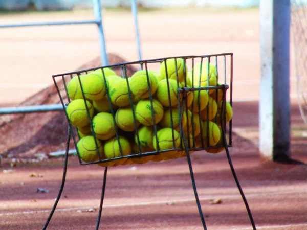 Tenis Topları Sepette — Stok fotoğraf