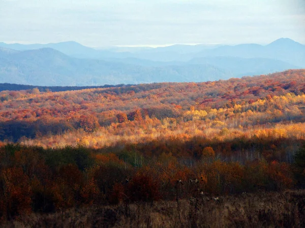 Autumn Landscape Maramures County — Stock Photo, Image