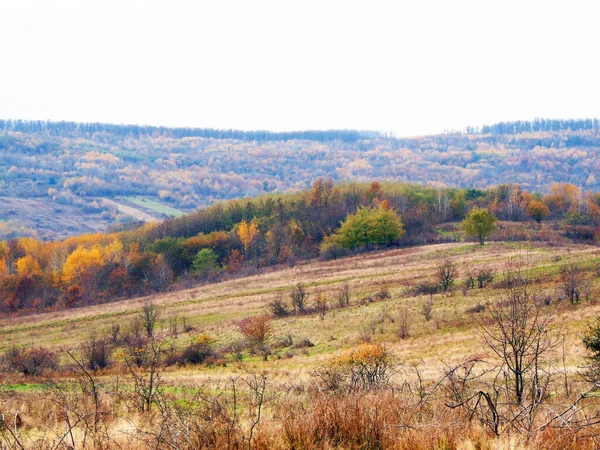 Krajina Podzim Kraji Maramures — Stock fotografie