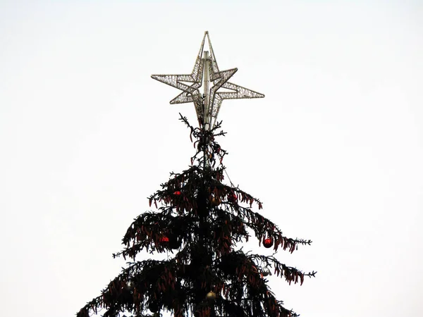 Kerstboom Baia Mare Stad — Stockfoto