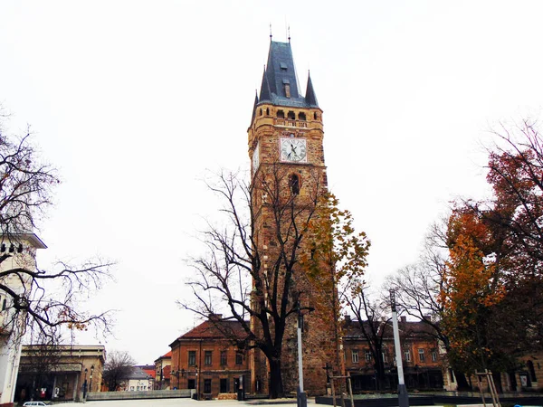 Stephen Toren Baia Mare Stad — Stockfoto