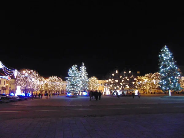 Baia Mare şehrinde Noel ağacı