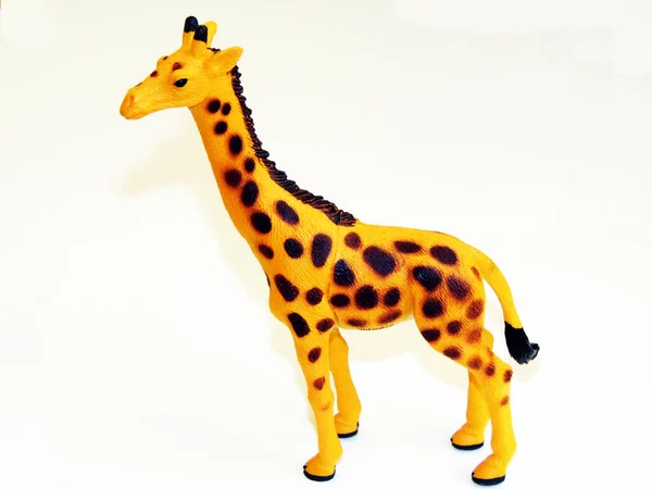 Giraff Leksak Isolerad Vit Bakgrund — Stockfoto