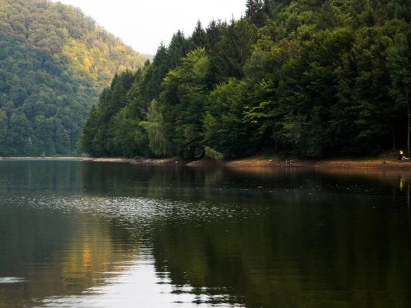 Firiza Jezero Okrese Maramures — Stock fotografie