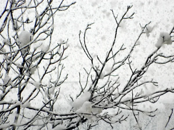 Pada Śnieg Mieście Baia Mare — Zdjęcie stockowe