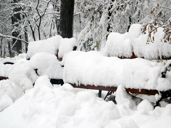 Stor Snö Bänken Rumänien — Stockfoto