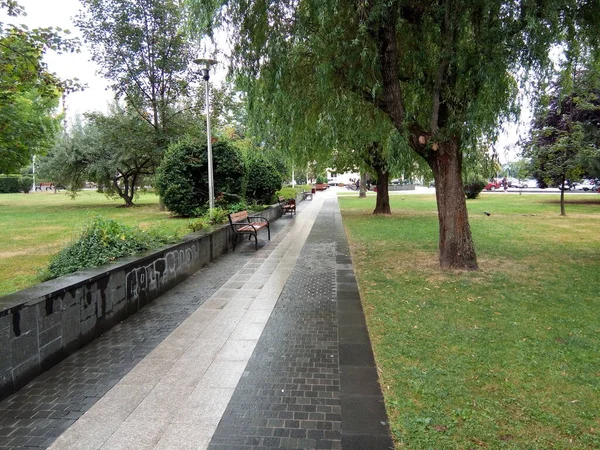 公園内の通り Baia Mare City — ストック写真