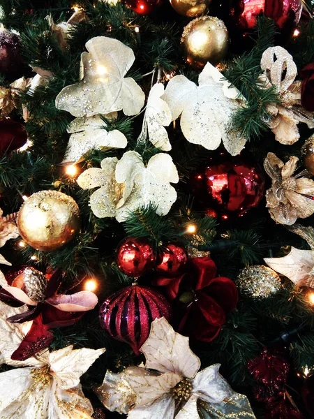 Weihnachtsbaum Rumänien Feiertag — Stockfoto