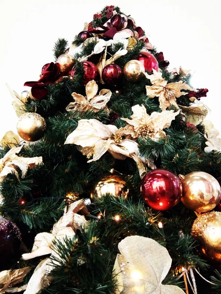 Weihnachtsbaum Rumänien Feiertag — Stockfoto
