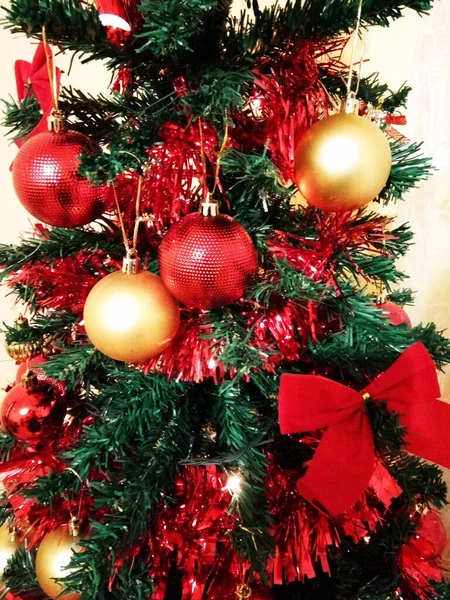 Weihnachtsbaum Rumänien Feiertag — Stockfoto