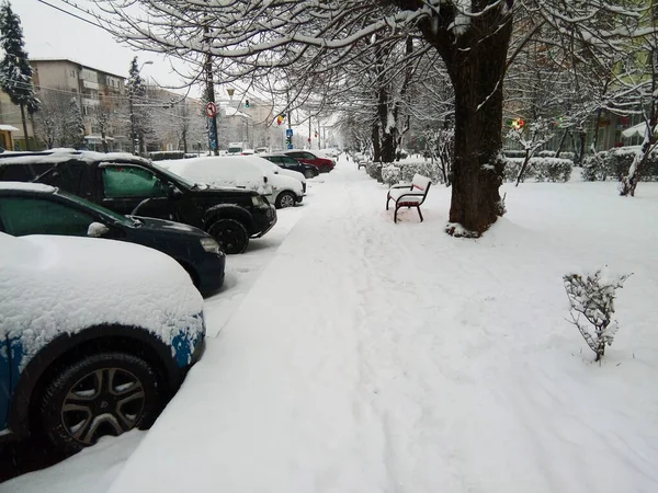 Χειμώνα Στην Πόλη Baia Mare Maramures — Φωτογραφία Αρχείου