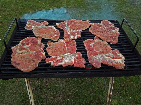 Carne Grelha Comida — Fotografia de Stock