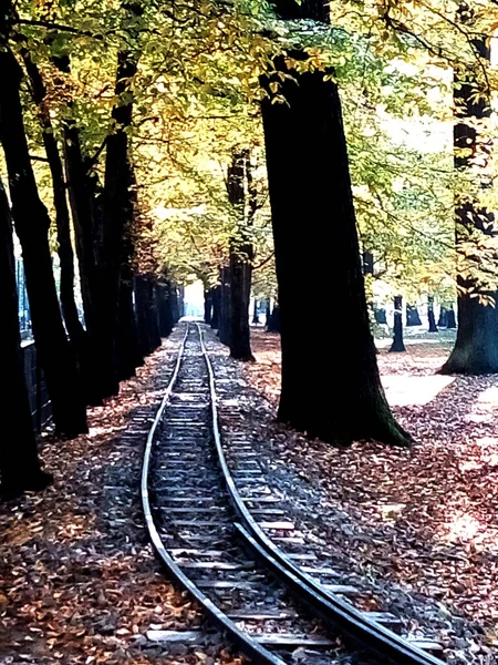 秋天公园里的铁路 — 图库照片