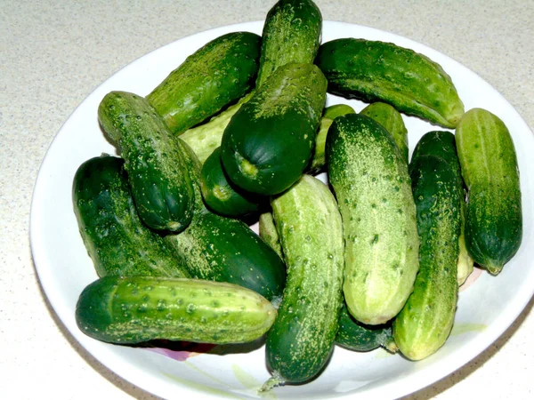 Komkommers Een Bord Groente — Stockfoto