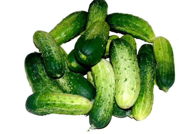 Cucumbers Isolated White Vegetable — Stock Photo, Image