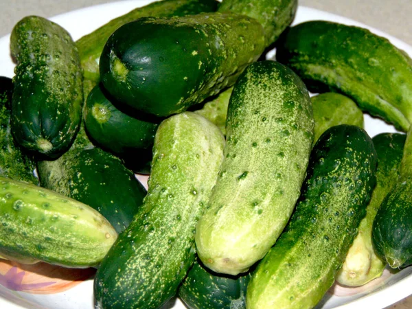 Komkommers Een Bord Groente — Stockfoto