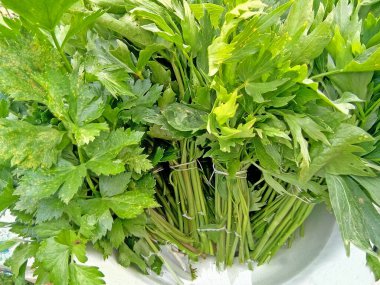 Romanya 'nın Maramures kentinde tarla kuşu ilişkileri