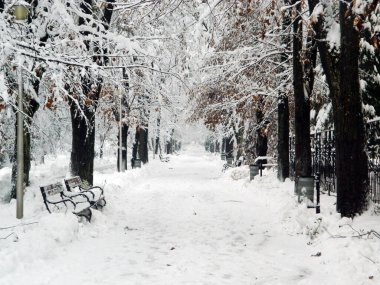 Parkta büyük kar - Baia Mare şehrinde kış