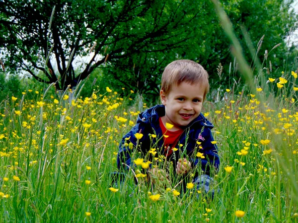Little Boy Looking Camera Grass — Stok fotoğraf