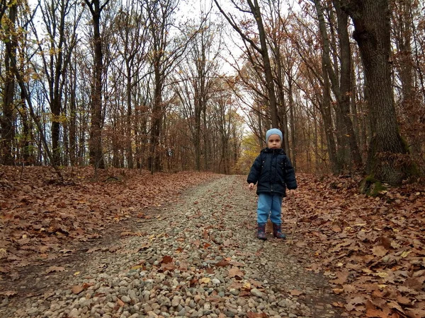 Child Walking Forest Autumn — Stok fotoğraf