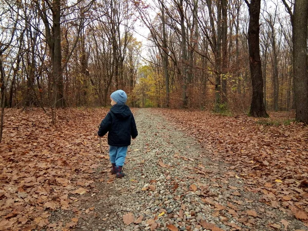 Child Walking Forest Autumn — Stok fotoğraf