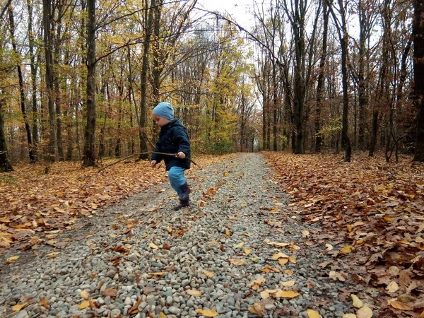 Ένα Παιδί Περπατά Στο Δάσος Φθινόπωρο — Φωτογραφία Αρχείου