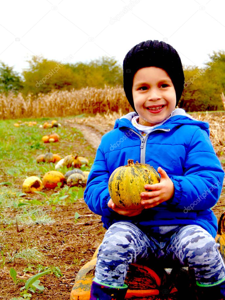a boy among the pumpking on the farm