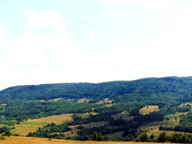 Yazın Maramures 'da manzara