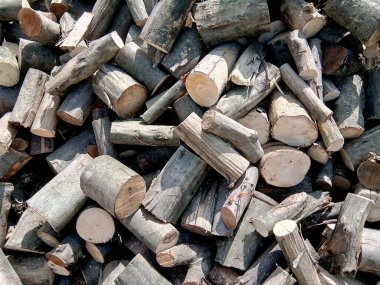 Çiftlikte yakacak odun yığını