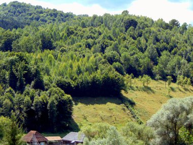 Romanya 'nın Maramures ilçesinde manzara