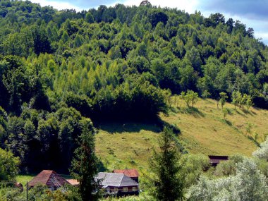 Romanya 'nın Maramures ilçesinde manzara