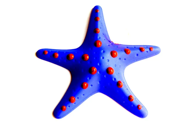 Морская Звезда Игрушка Изолированная Белом — стоковое фото