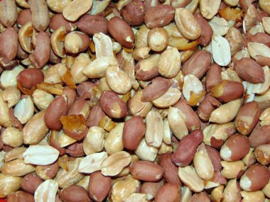 kırmızı kabuklu fıstıklar - ve kızarmış