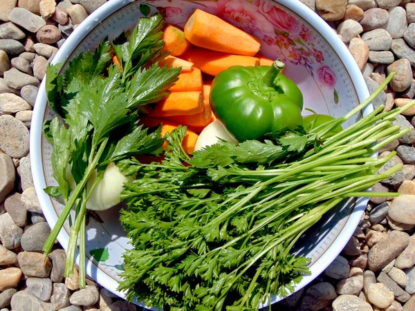 Zanahorias Cebollas Perejil Apio Pimientos Tazón —  Fotos de Stock