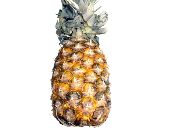 Ananas Izolowany Białym Tle — Zdjęcie stockowe