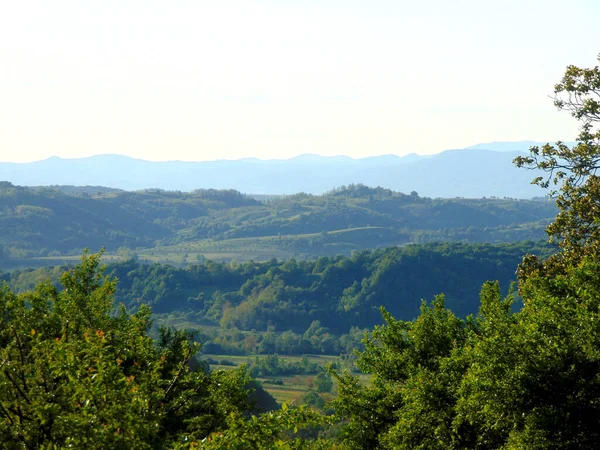 Ландшафт Влітку Марамури Румунія — стокове фото