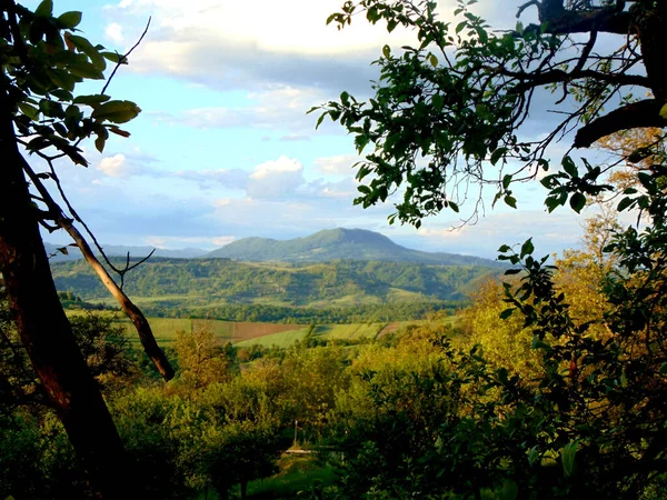 Paisaje Verano Maramures Rumania — Foto de Stock