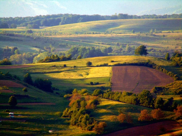 Landskap Sommaren Maramures Rumänien — Stockfoto