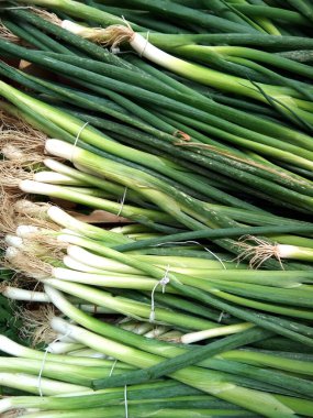 Birkaç parça yeşil soğan.