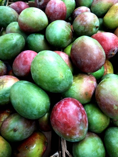 Verschillende Stukken Mango Fruit — Stockfoto