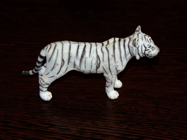Biały Tygrys Białym Tle Czarnym Tle — Zdjęcie stockowe