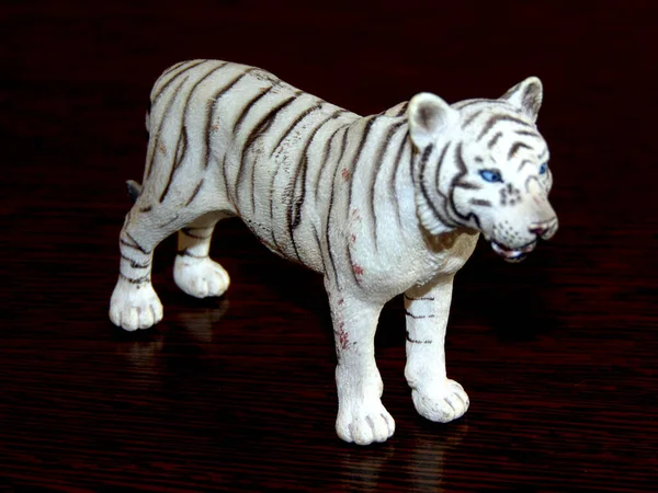 Білий Тигр Ізольований Чорному Фоні — стокове фото