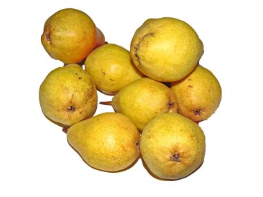 grup izole beyaz zemin üzerine armut