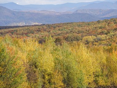 Romanya 'da Ekim ayında sonbahar manzarası