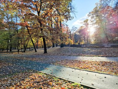 Parkta sonbahar. Baia Mare şehrinde, Romanya 'da. Sonbahar manzarası