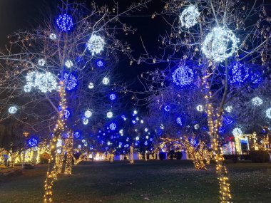 Romanya 'nın Baia Mare kentinde Noel ışıkları ve süslemeleri