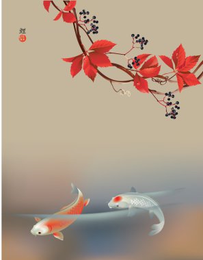 Koi carps ve yabani üzüm